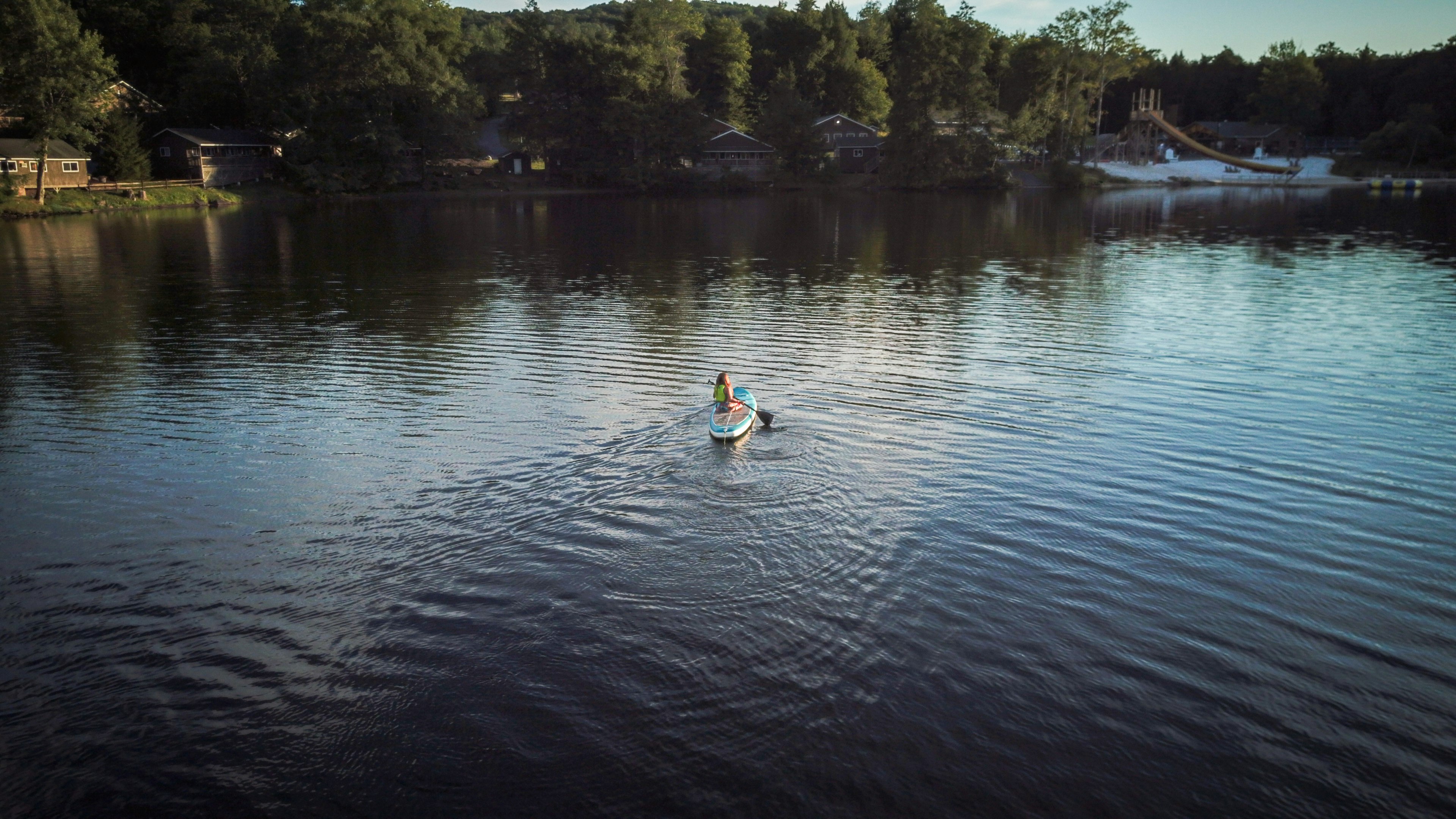 2 white swans on lake during daytime